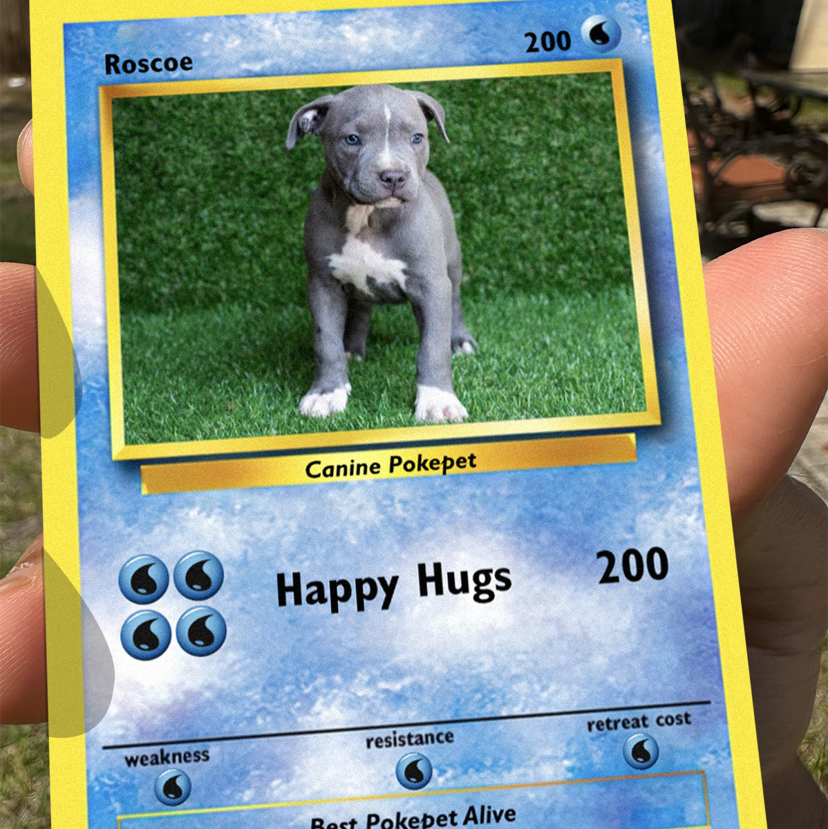 Pokepet Photo Card
